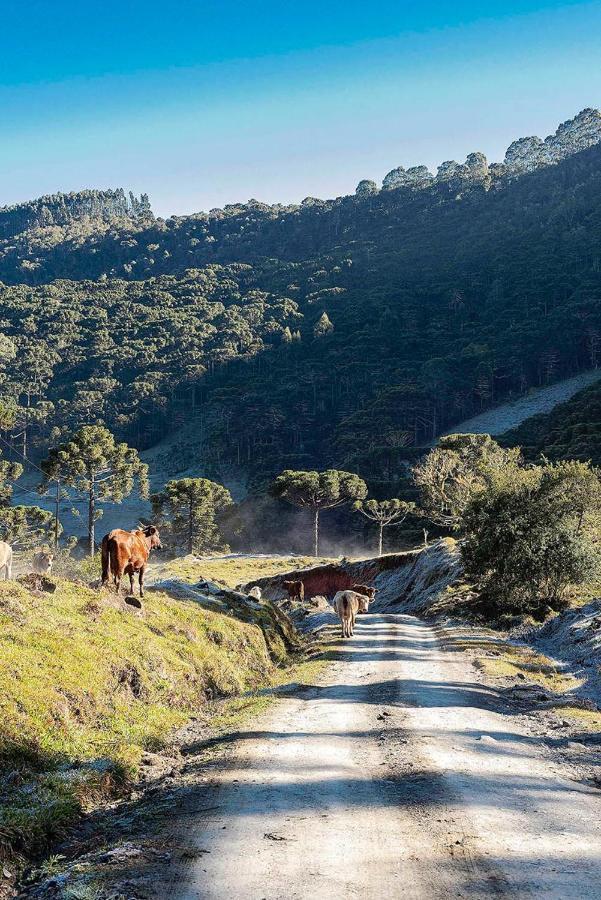 Vale Sagrado Villa Urubici Bagian luar foto
